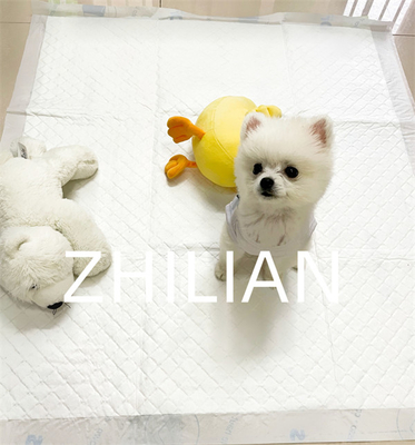 200 M/Min 350 M/Min Disposable Pet Pad Machine Automative