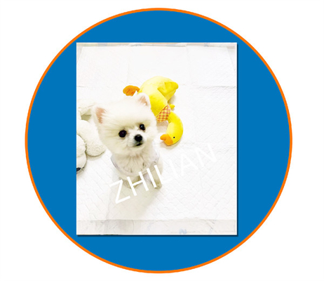 800mm Breedte Pet Training Pad Pet Pad Machine 200m/min 350 m/min